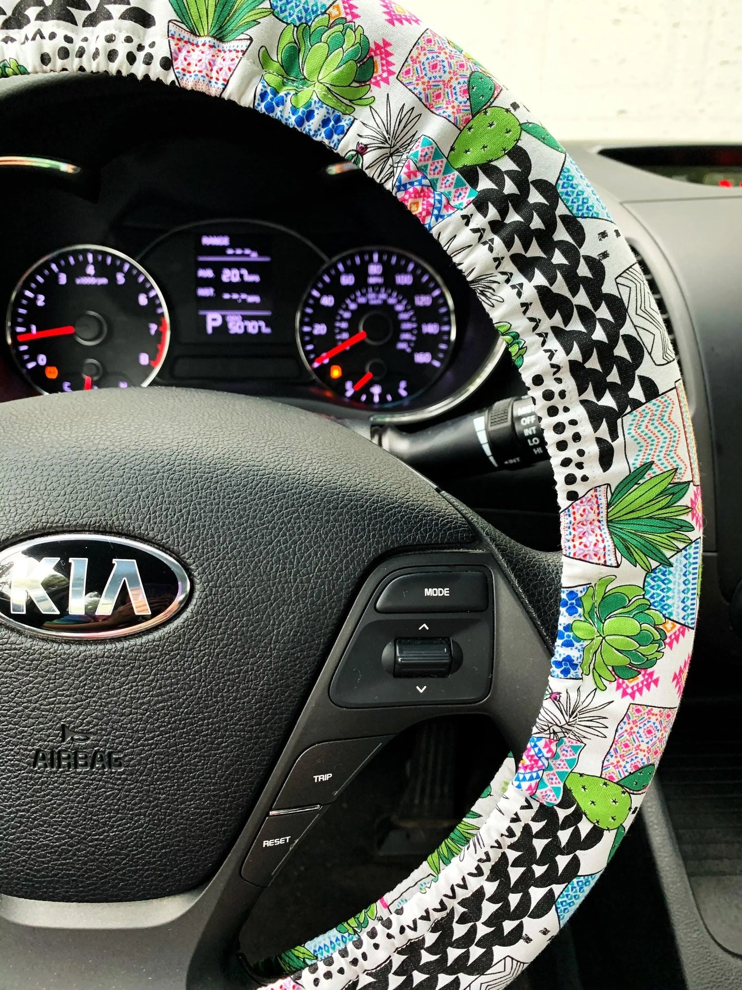 Cactus Succulent Steering Wheel Cover Moonshadow Caravan