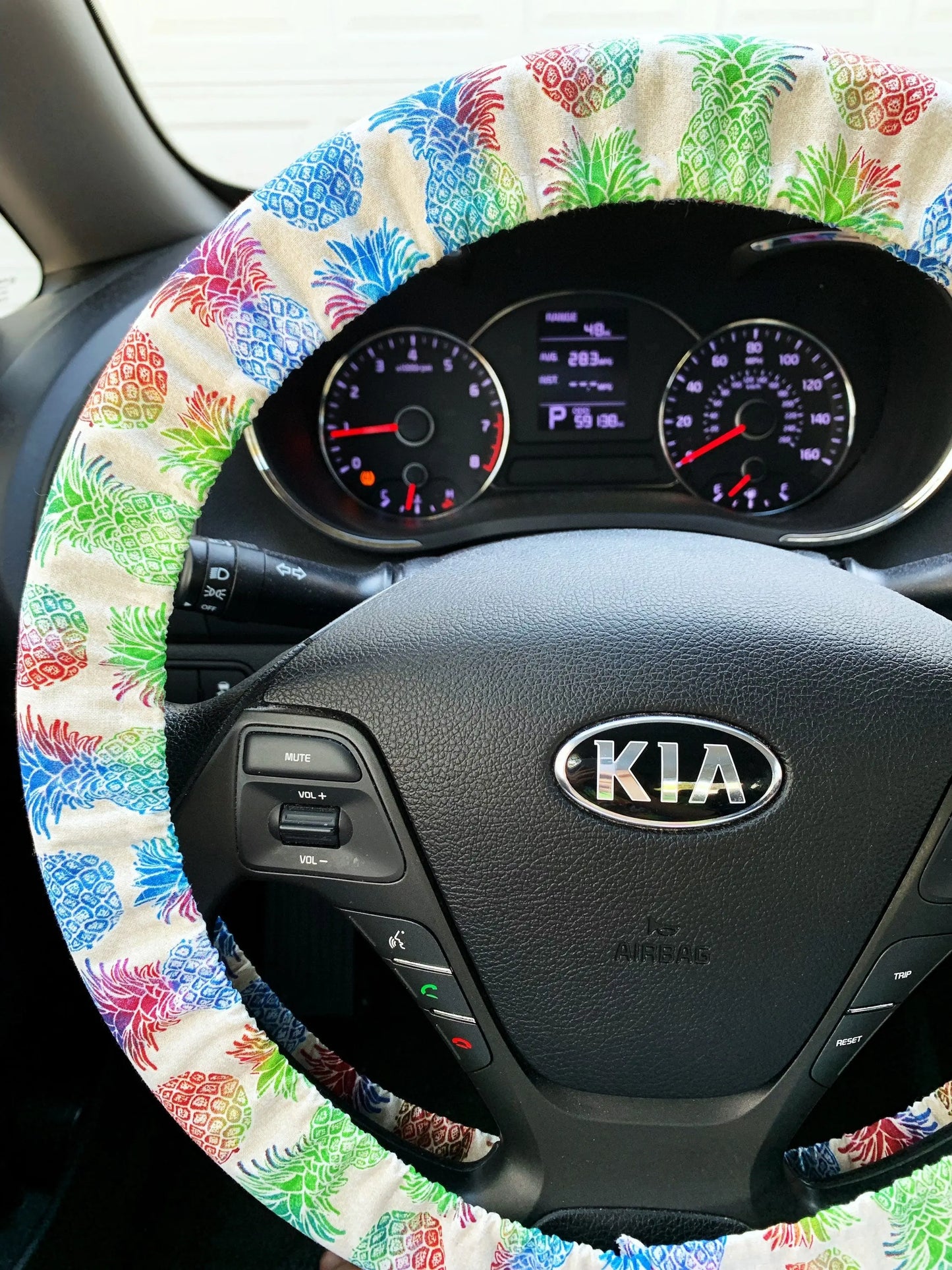 Rainbow Pineapple Steering Wheel Cover Moonshadow Caravan