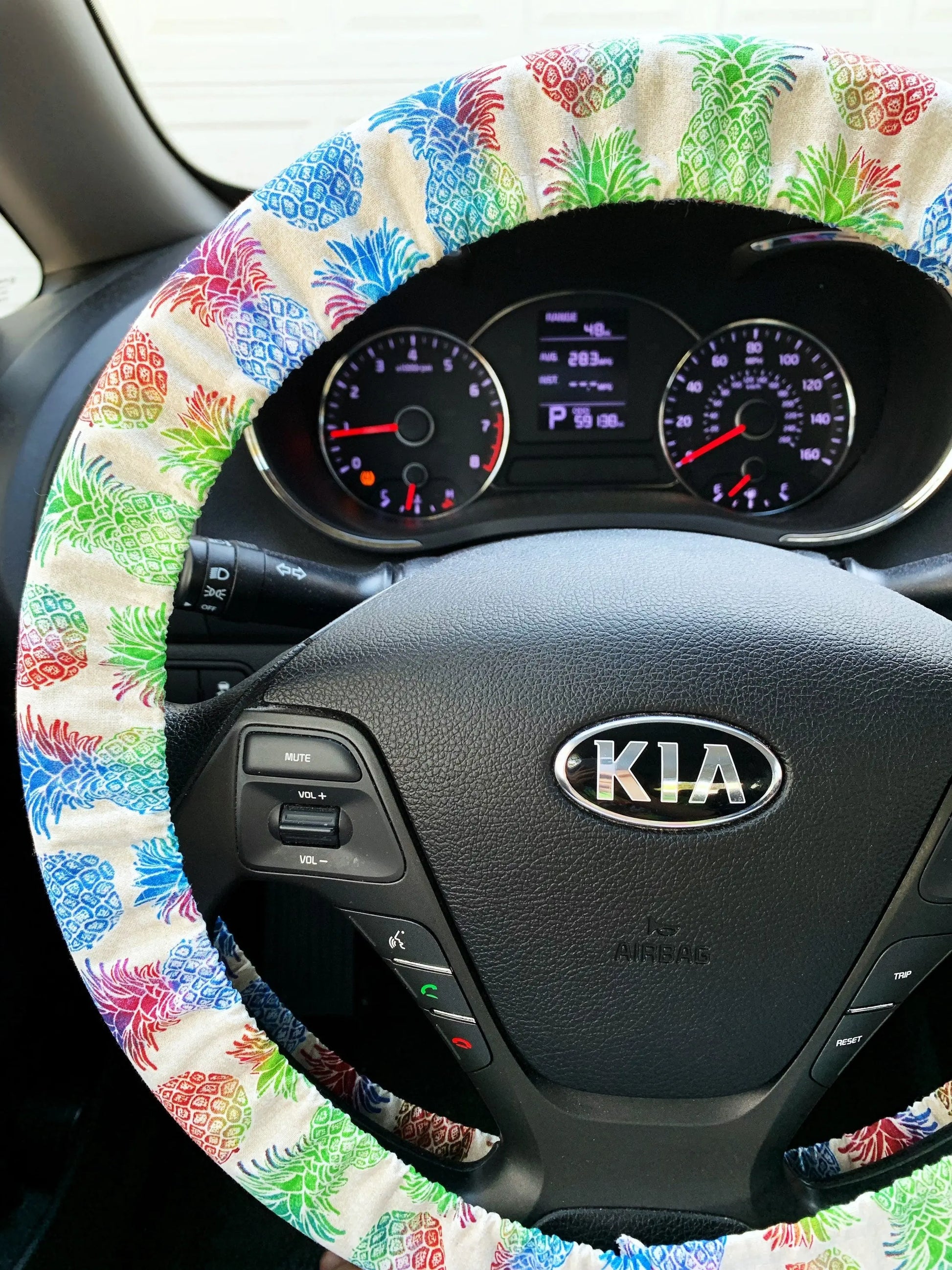Rainbow Pineapple Steering Wheel Cover Moonshadow Caravan