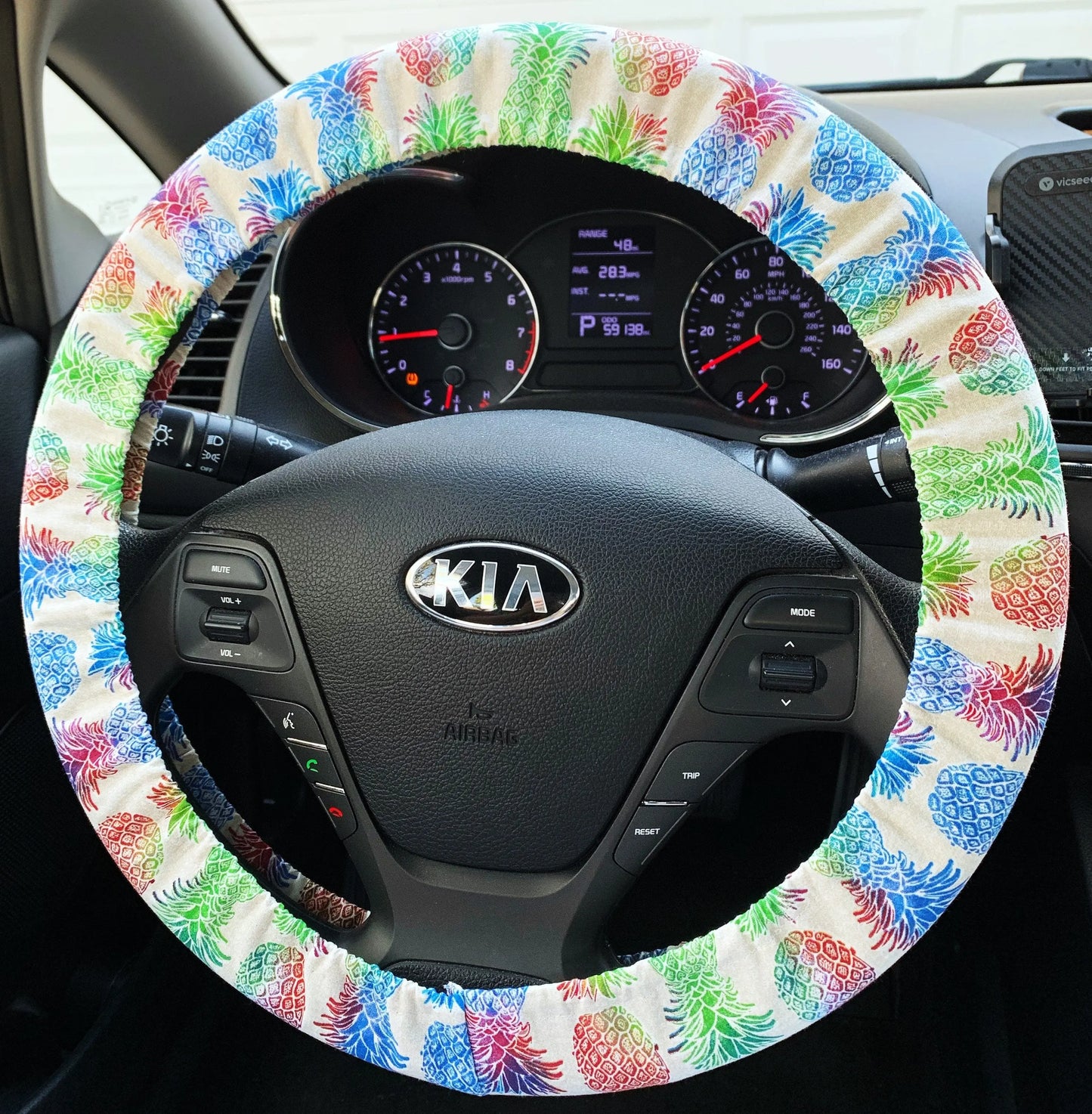 Rainbow Pineapple Steering Wheel Cover Moonshadow Caravan