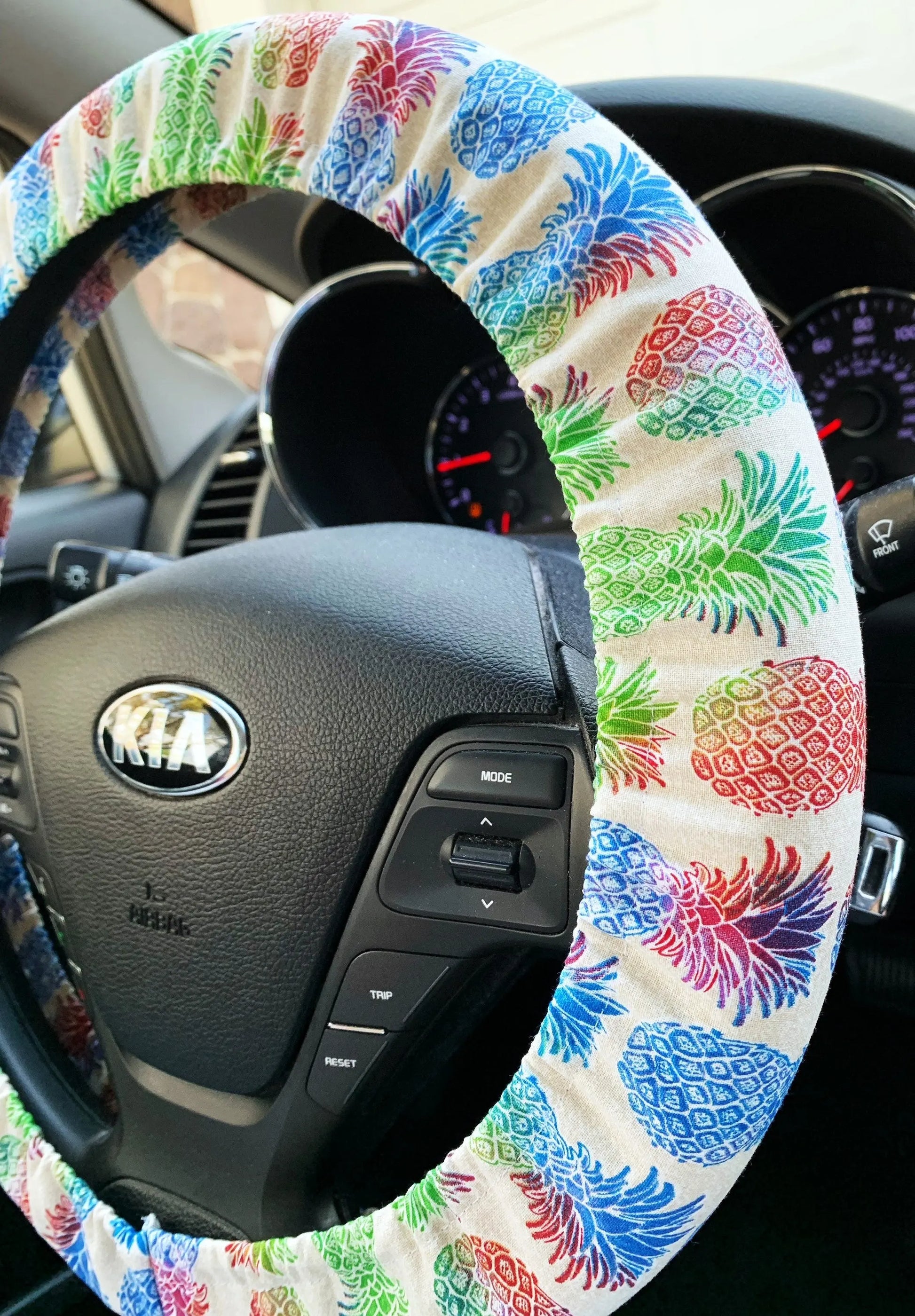 Rainbow Pineapple Steering Wheel Cover Moonshadow Caravan