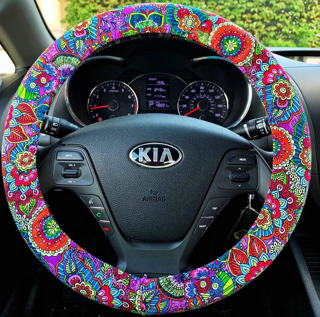 Flowers, Butterflies, Paisley Steering Wheel Cover Moonshadow Caravan