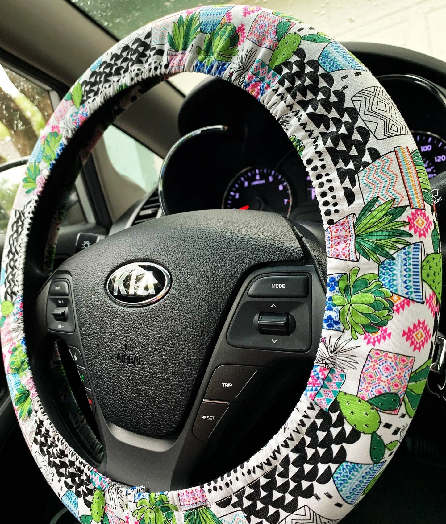 Cactus Succulent Steering Wheel Cover Moonshadow Caravan