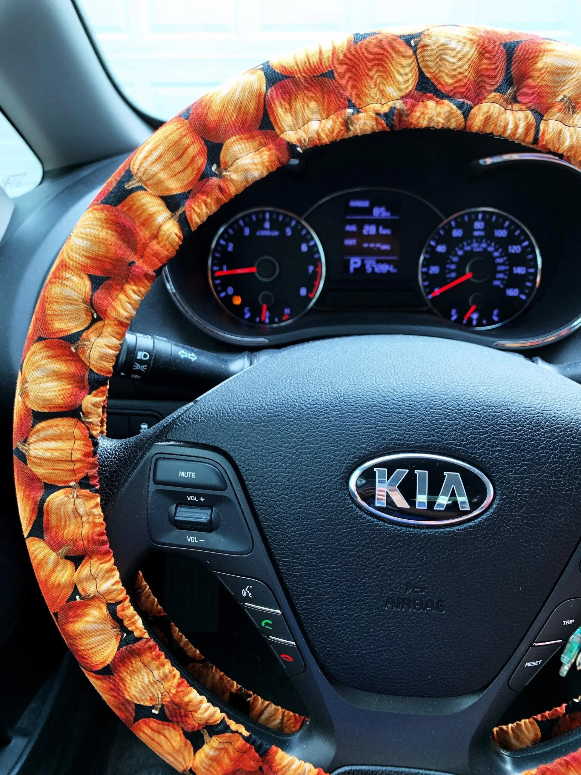 Fall Pumpkin Steering Wheel Cover Moonshadow Caravan