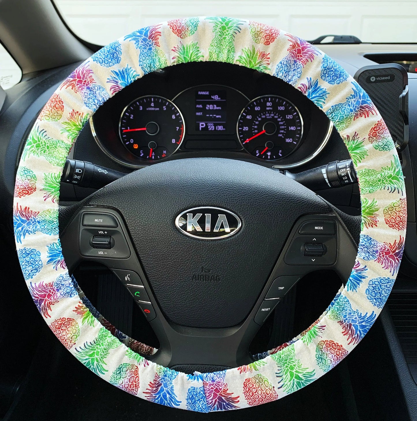 Rainbow Pineapple Steering Wheel Cover Moonshadow Caravan